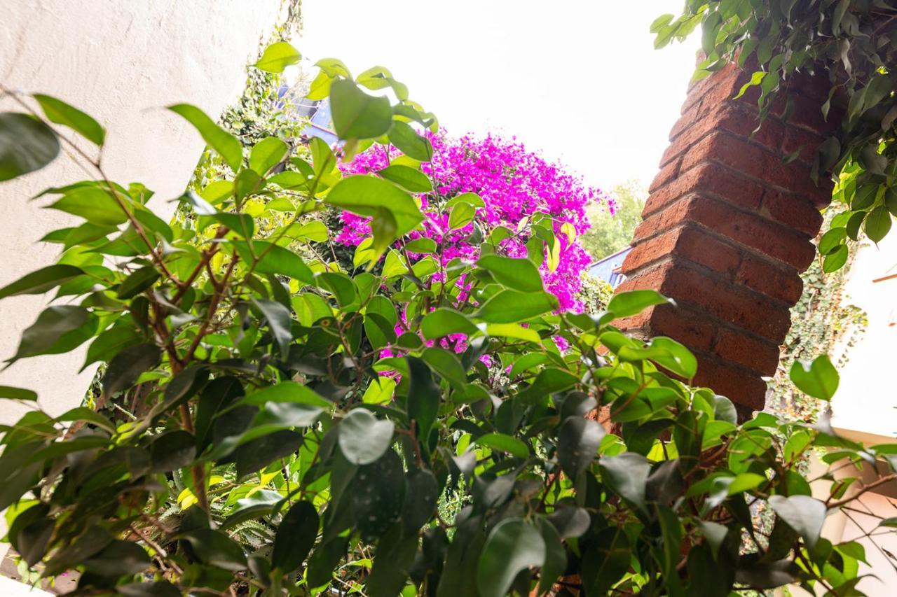 Meztli: Casa Boutique & Spa Cidade do México Exterior foto